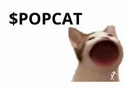 Popcat (SOL) is a meme coin token on Solana Blockchain